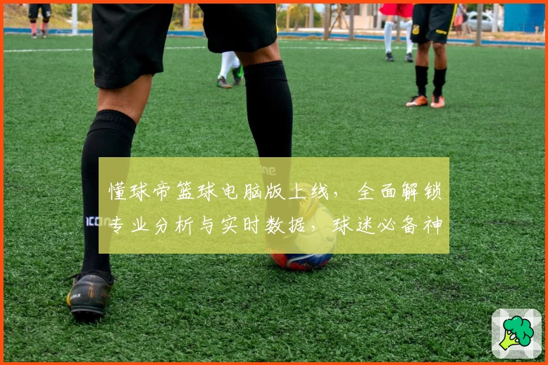 懂球帝篮球电脑版上线，全面解锁专业分析与实时数据，球迷必备神器