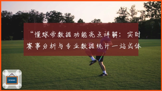 “懂球帝数据功能亮点详解:实时赛事分析与专业数据统计一站式体验”