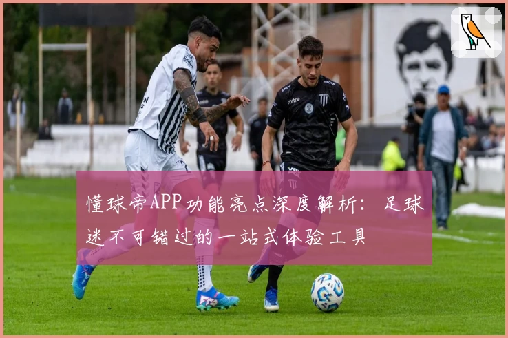 懂球帝APP功能亮点深度解析：足球迷不可错过的一站式体验工具